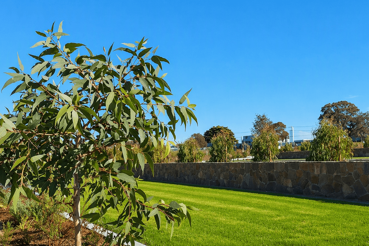 Springvale Botanical Cemetery | SMCT