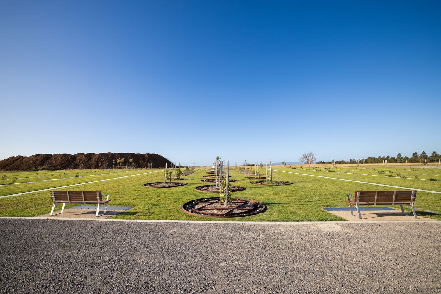 Lush green landscape with newly planted trees and a gravel path, under a clear blue sky. Seating areas are visible in the foreground.