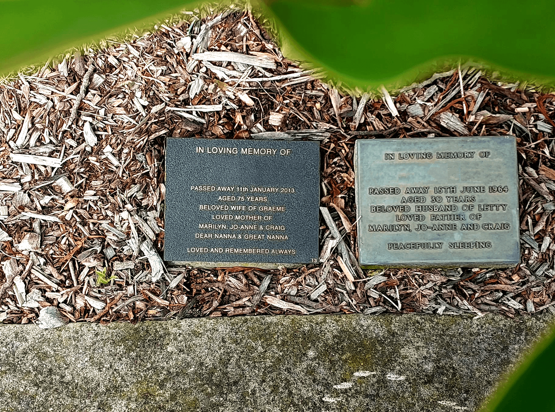 Close-up of two cemetery memorial plaques on a mulch-covered ground, partially framed by green leaves. The plaques contain engraved text in memory of family members, with one plaque appearing new and darker, and the other lighter in colour with the green patina.