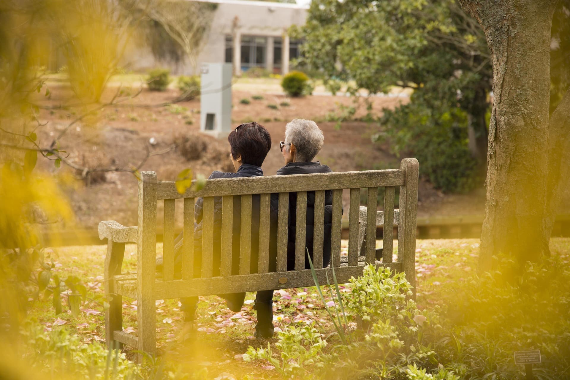 Couples on bench surrounded by warm light and peaceful natural scenery