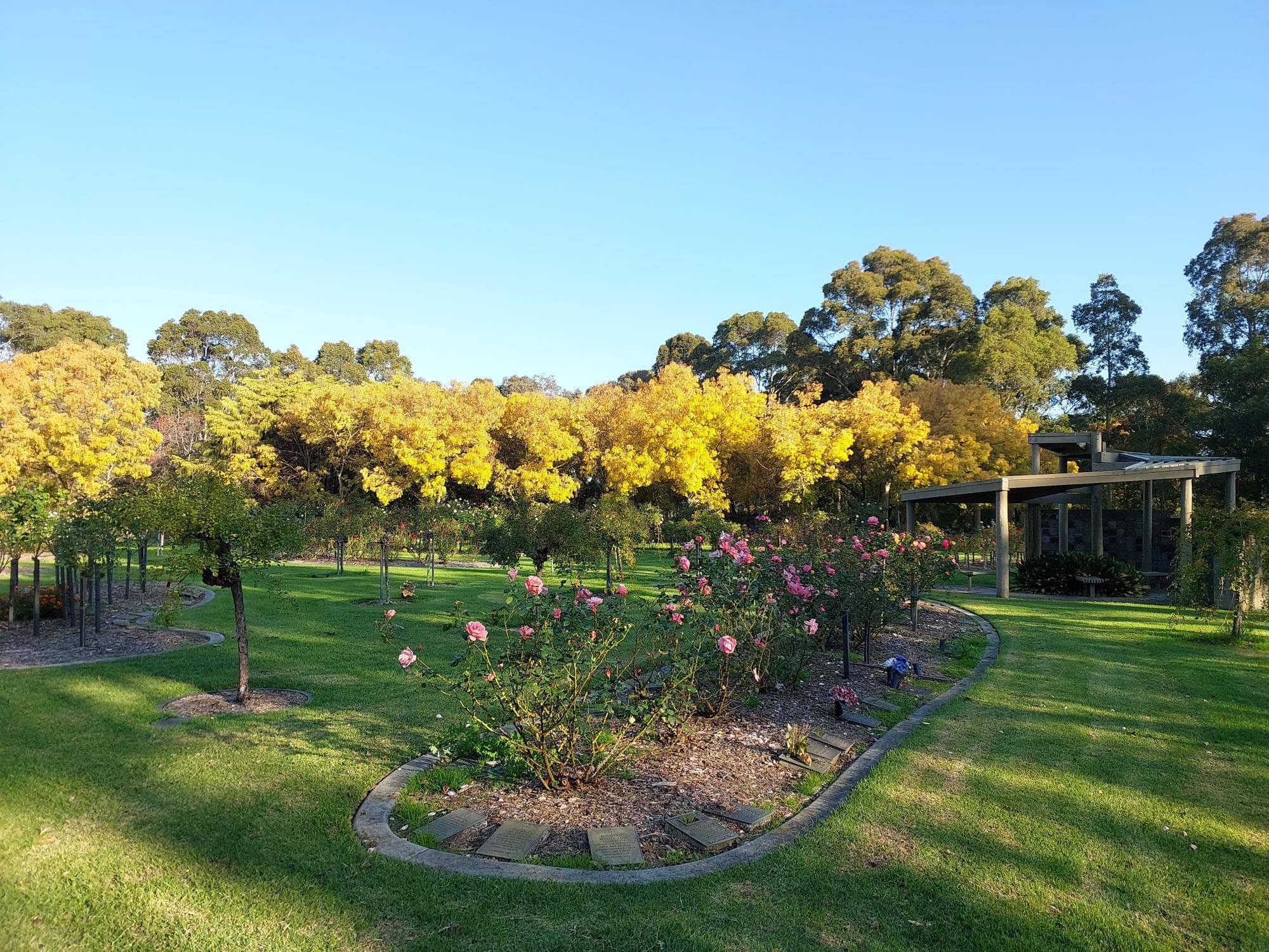 A lush green garden with rose beds and tall trees under a clear blue sky.