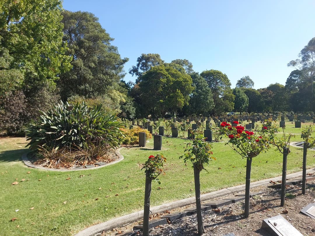 Springvale Cemetery Melbourne Cremation Options and Services Melbourne | SMCT