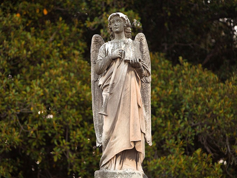 Angel in the trees at Melbourne General Cemetery