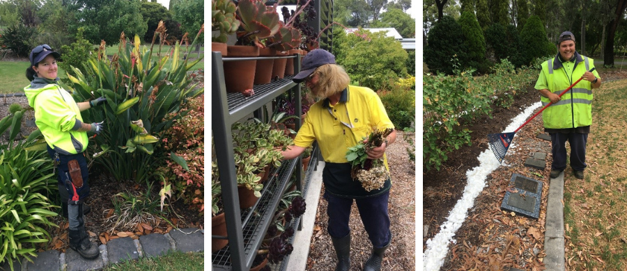 SMCT's operations team hard at work pruning, hand weeding and maintaining our garden beds