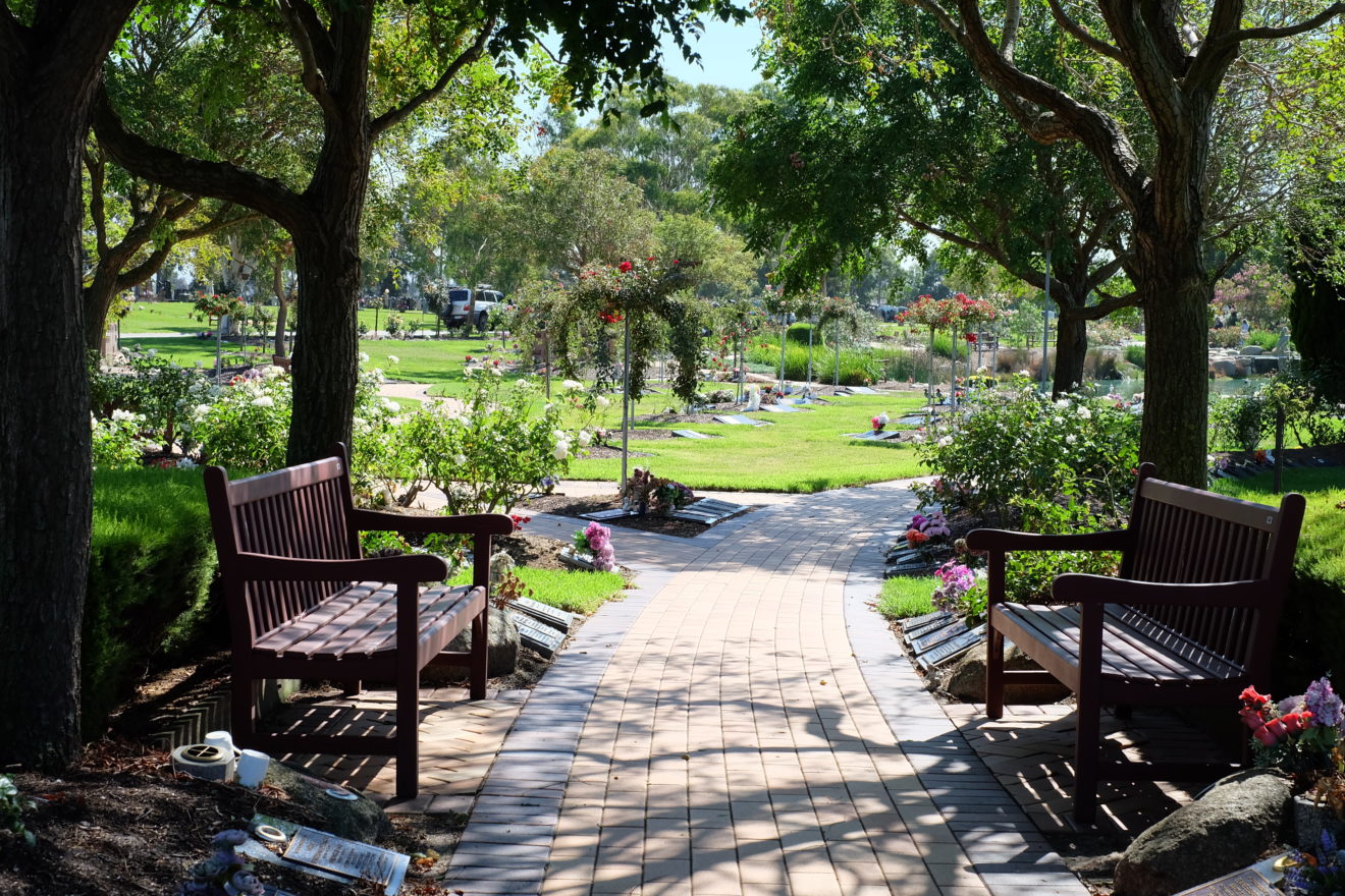 Two wooden benches face each other under a tree at Bunurong Memorial Park, with flowers and memorial plaques scattered around