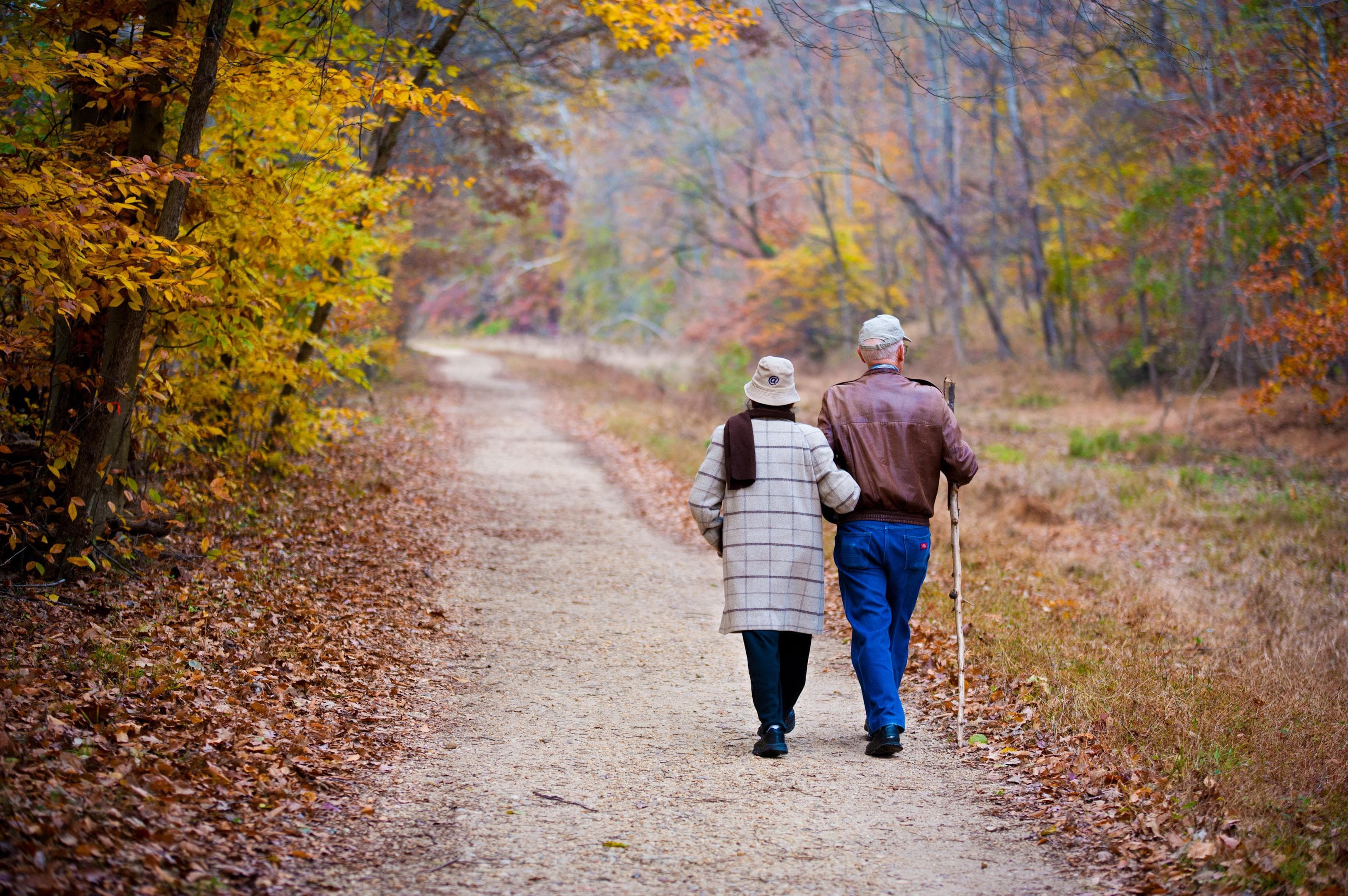 an elderly man and woman walking along a tree-lined path